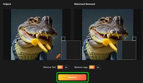 Save The Final Image