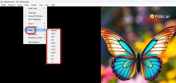 Vlc Crop The Video