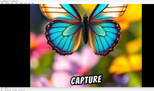 vlc Enjoy Video Without Watermark