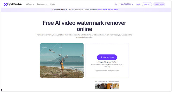 Pixelbin Watermark Remover
