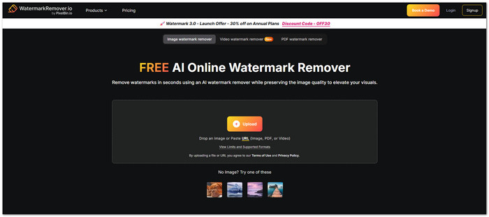 WatermarkRemover.io Watermark Remover