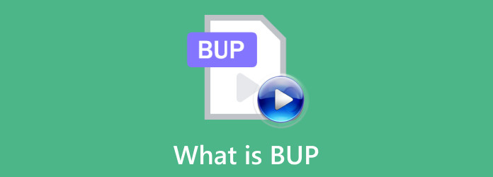 BUP File