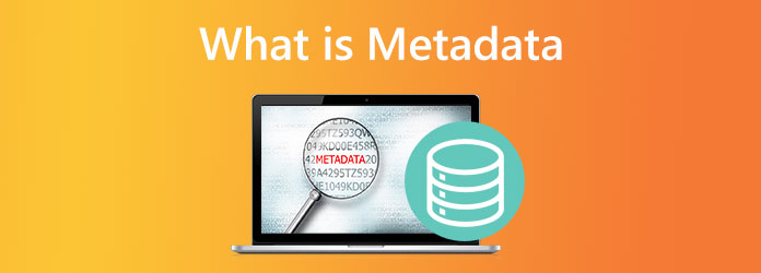 Hvad metadata er