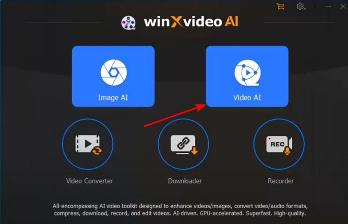 Video AI Winx
