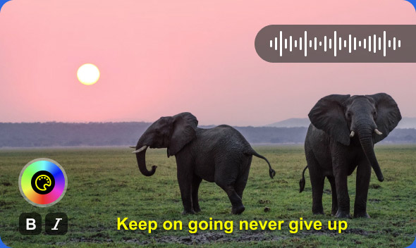 Subtitles Audio