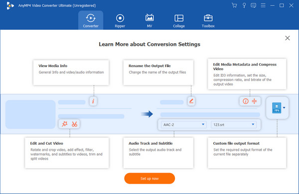 Interfaccia definitiva di AnyMP4 Video Converter