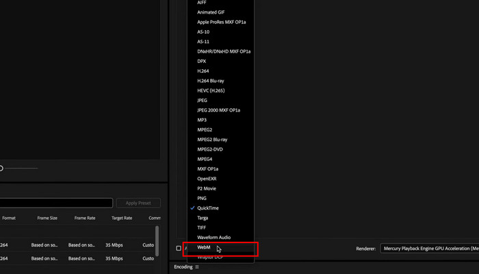 Choose Webm Format