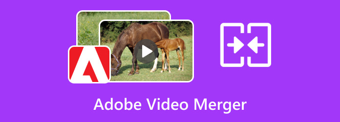 Adobe Video Merger
