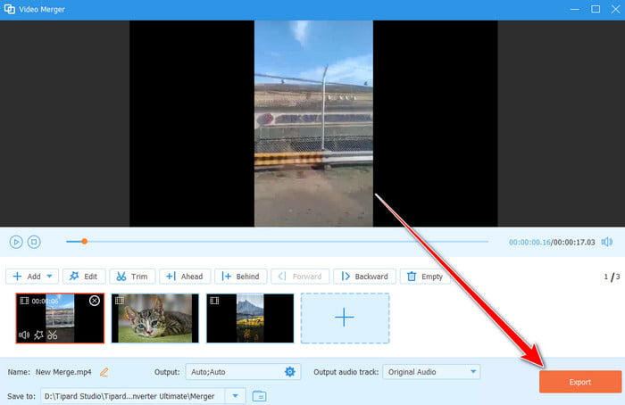Export Merged Video Tipard
