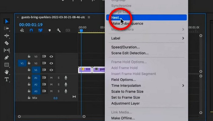 Use Nest Feature Premiere Pro