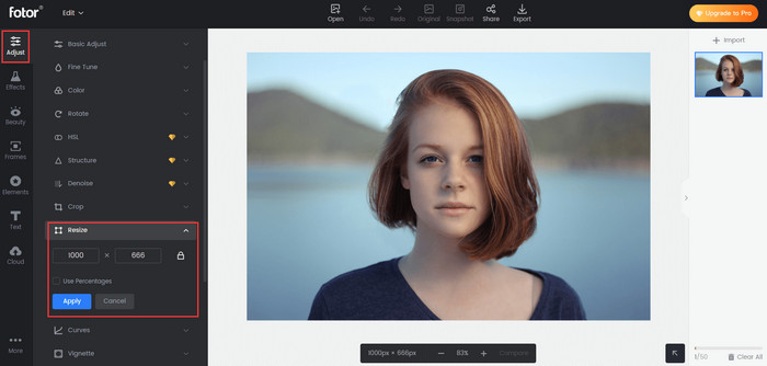 Fotor Tool