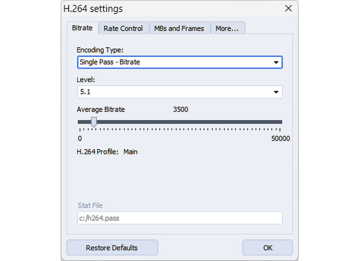 AVS Video Converter Codec Customization Feature