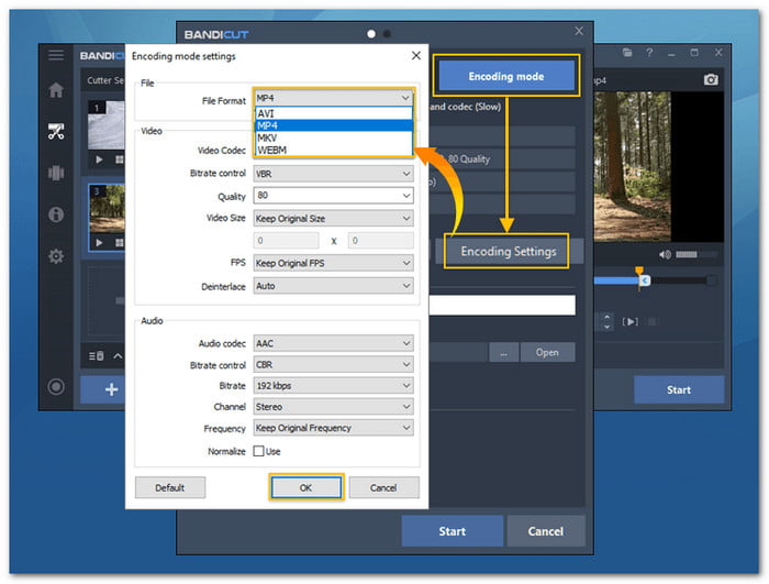 Bandicut AV1 Converter