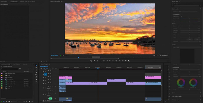Adobe Premiere Pro
