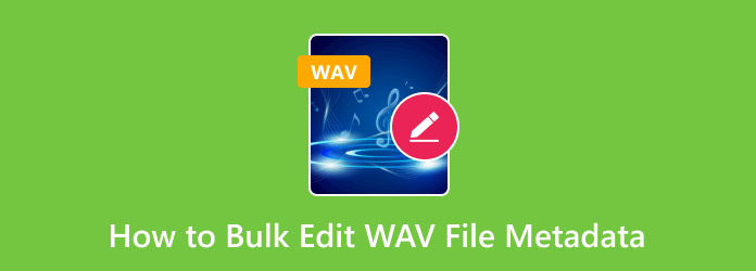 Bulk Edit WAV File Metadata
