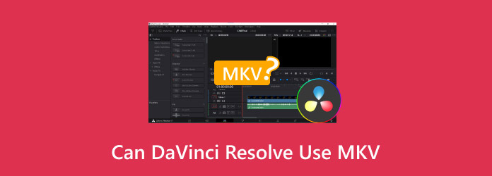 Can DaVinci Resolve Use MKV?