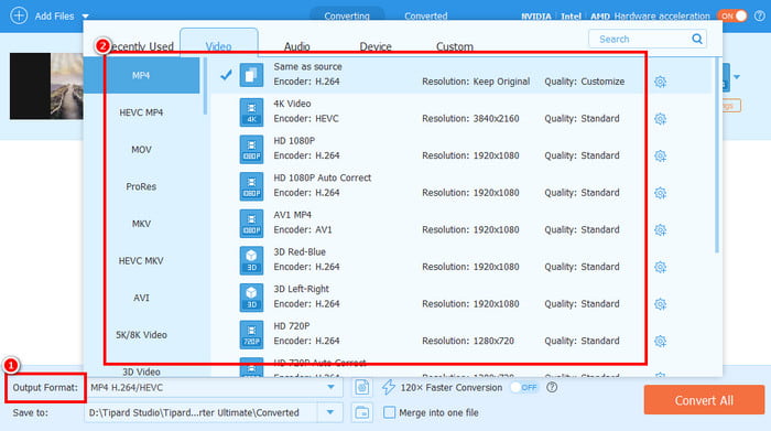 Output Format Tipard