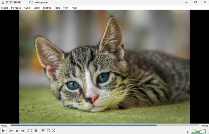 Play MOV VLC