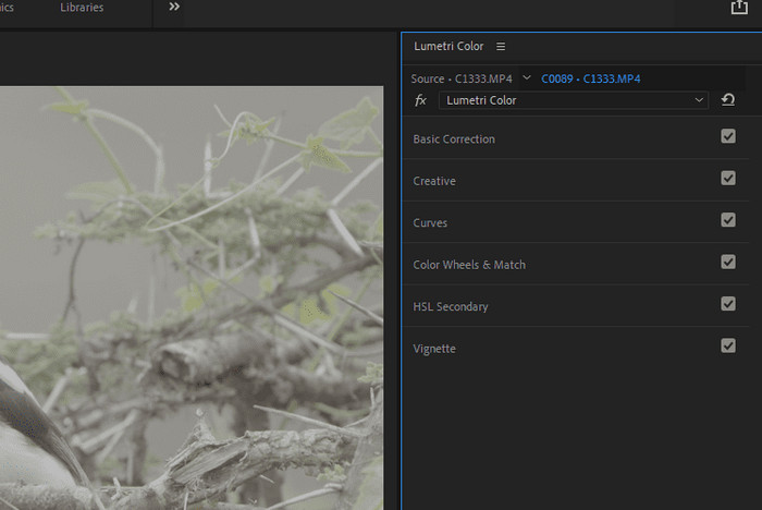 Choose Color Correction Feature