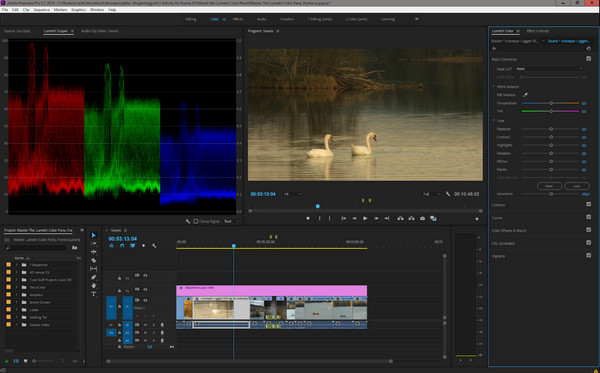 Premiere Pro Color Correction Feature