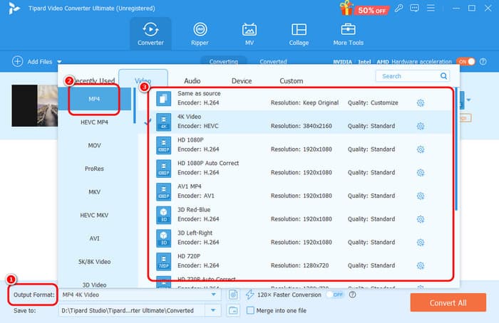 Output Format MP4 Tipard