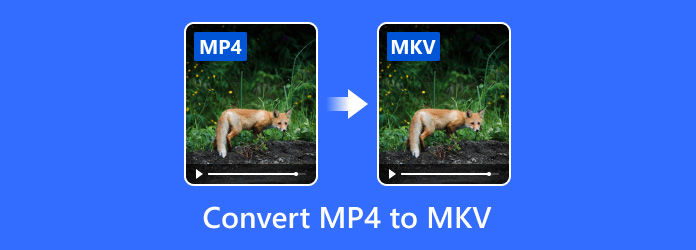 Konvertera MP4 till MKV