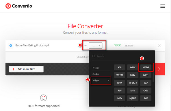 Convertio Seleziona un formato