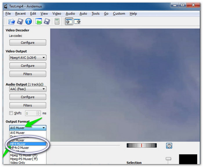 Avidemux Convert TS to MP4