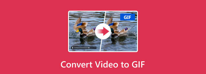 GIF'ye video