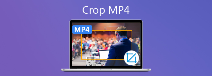 Crop MP4