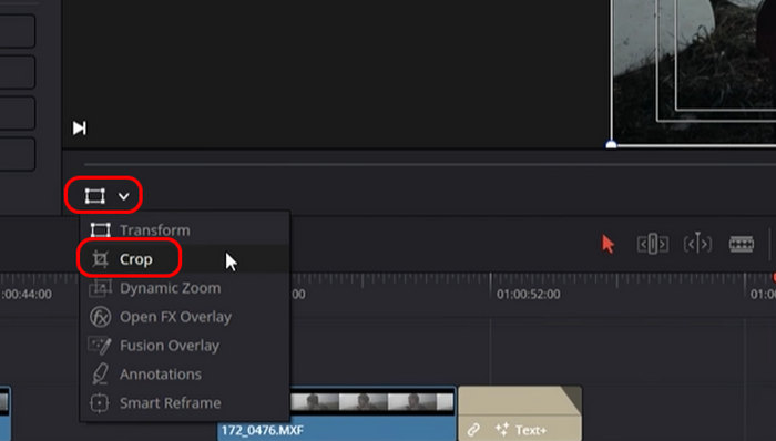 Crop Feature in Preview Window