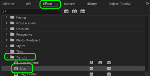Video Effects Transform Crop