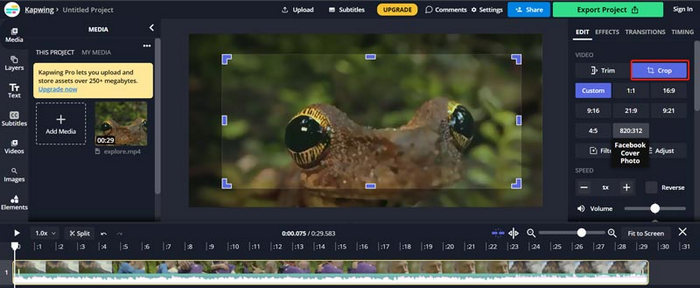 Kapwing Crop Video