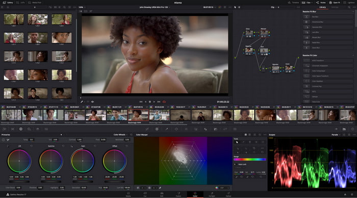 Davinci Resolve Interface