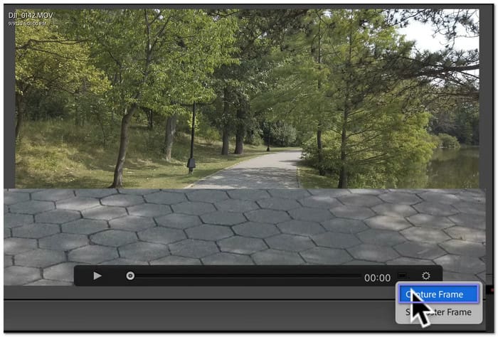 Choose Capture Frame
