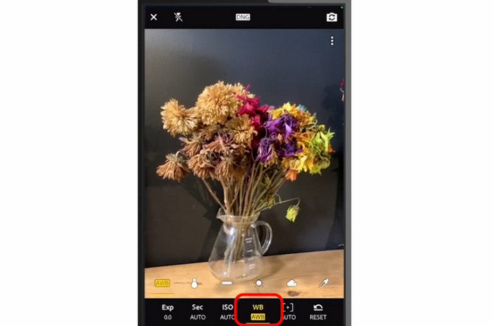 White Balance Feature