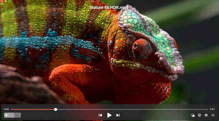 Elmedia Play 4k Content