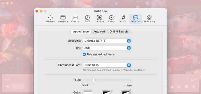 Elmedia Subtitle Feature