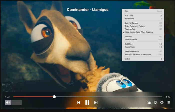 Elmedia Supported Playback Features