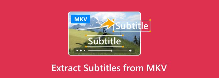 Extract Subtitles from MKV