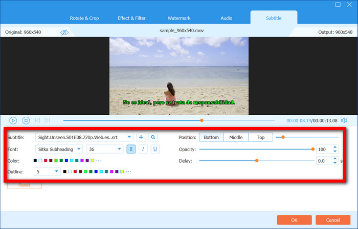 Subtitle Modification Options