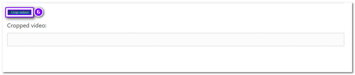 Download Your Cropped Output