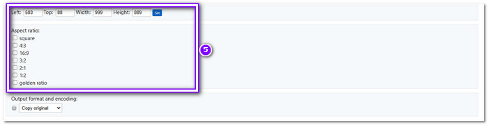 Manually Crop And Select Aspect Ratio