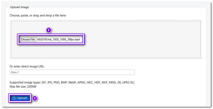Upload Your File to Ezgif
