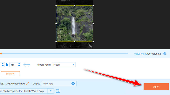 Export Cropped Video Tipard