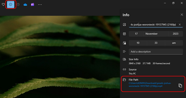 Check File Format