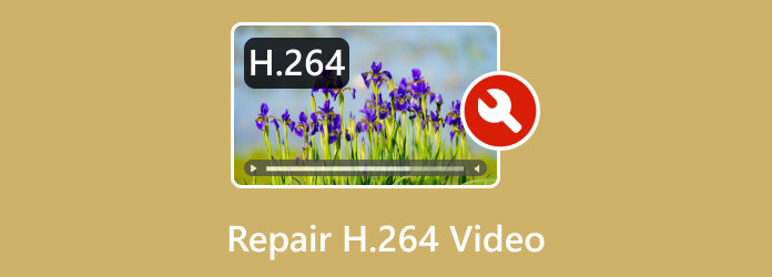 Korjaa H264-videot
