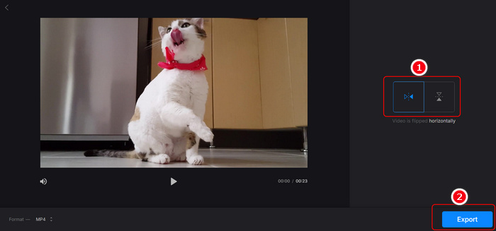 Flip Video Online