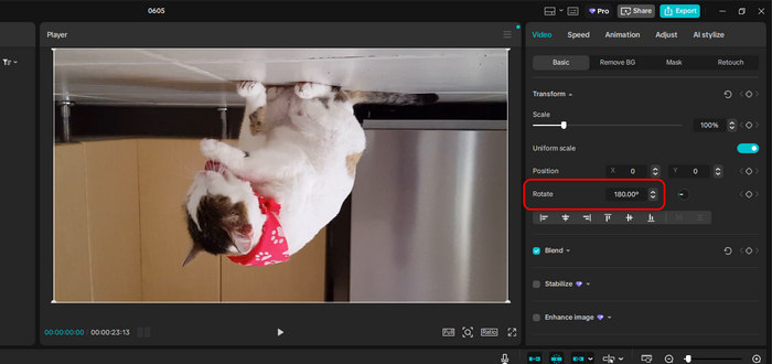 Flip Video Vertically in Capcut