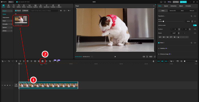 Put Video to Timeline